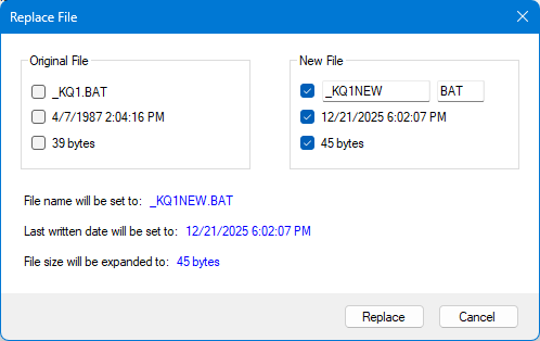 Replace File Dialog