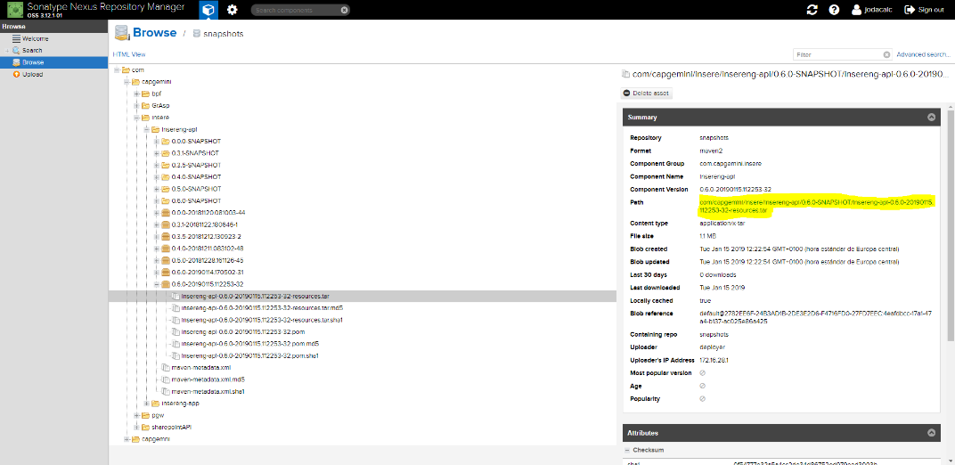 nexus stored artifacts